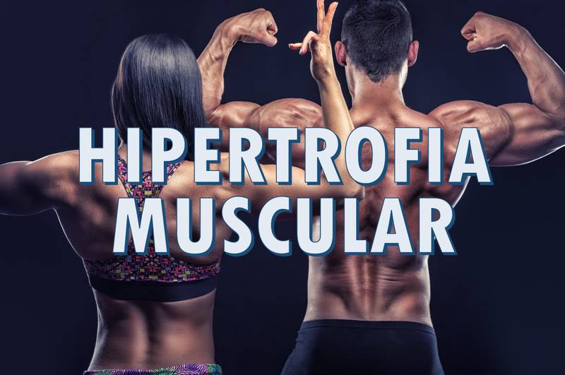 Imagem ilustrativa de Hipertrofia